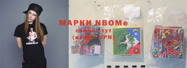 соль ск Бородино